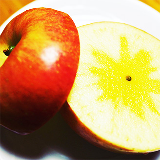 りんごの説明用写真