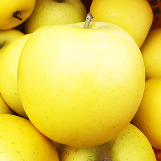 りんごの説明用写真