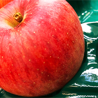 りんごの説明用写真