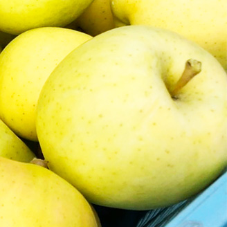 りんごの説明用写真