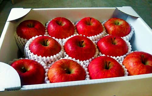 贈答に最適な無袋りんごの写真