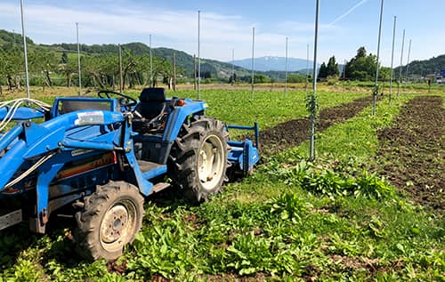 大自然に囲まれた果樹園の写真