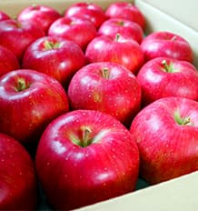 箱いっぱいのりんごの写真