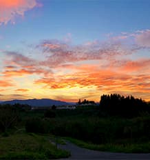 キレイなコントラストの夕日の写真